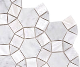 Thassos Hexagon Marble with Mix Circulos Mother of Pearl Tile On Mosaic Sheet